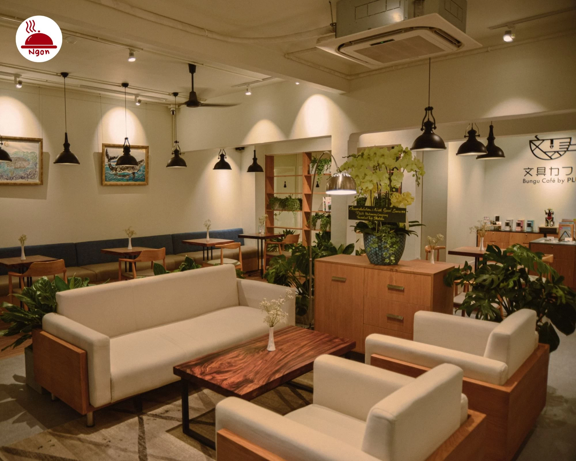 Tận hưởng không gian làm việc và học tập hiệu quả tại Bungu Cafe by PLUS