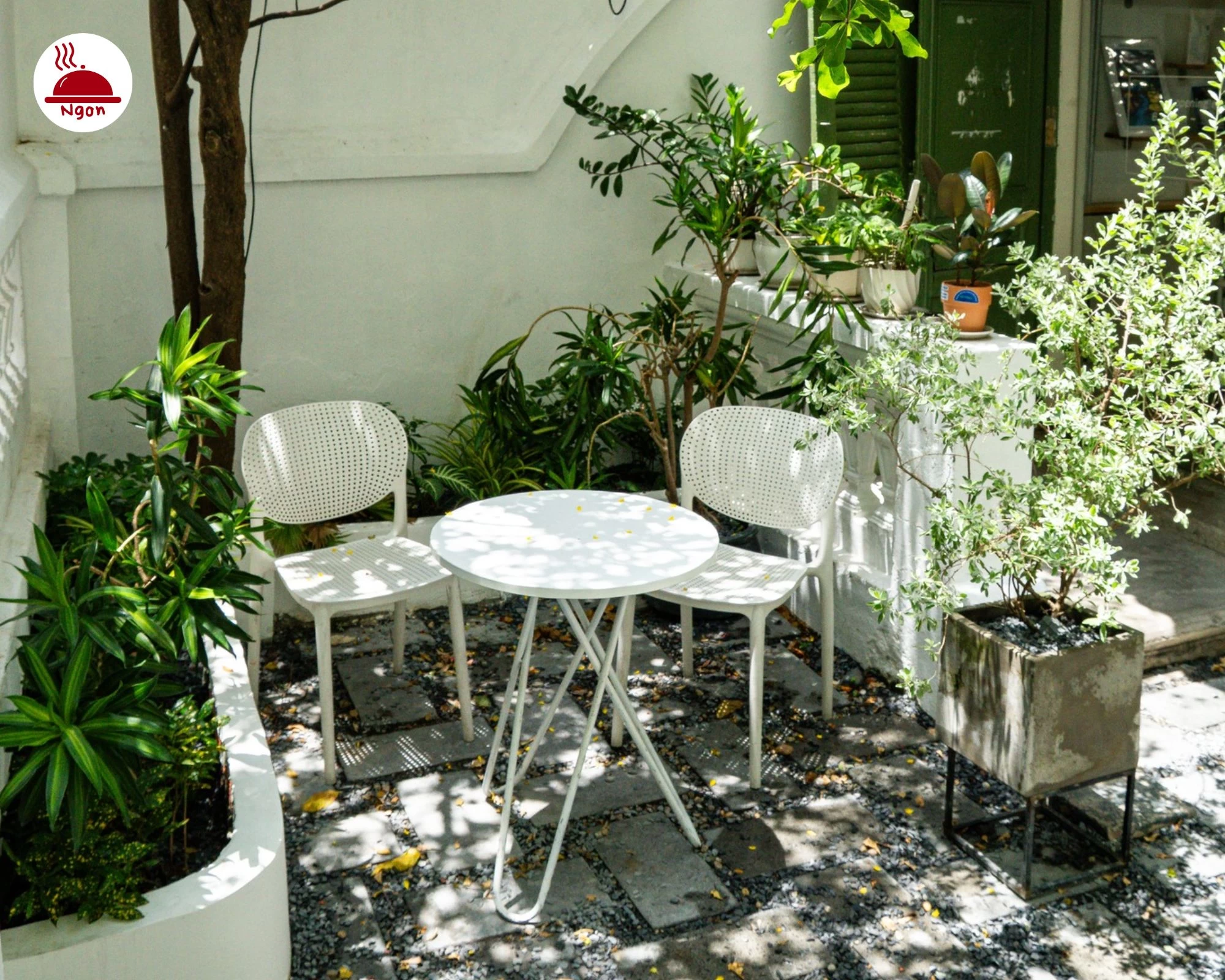 Tìm thấy một góc nhỏ bình yên tại The Hummingbird Cafe & Roastery