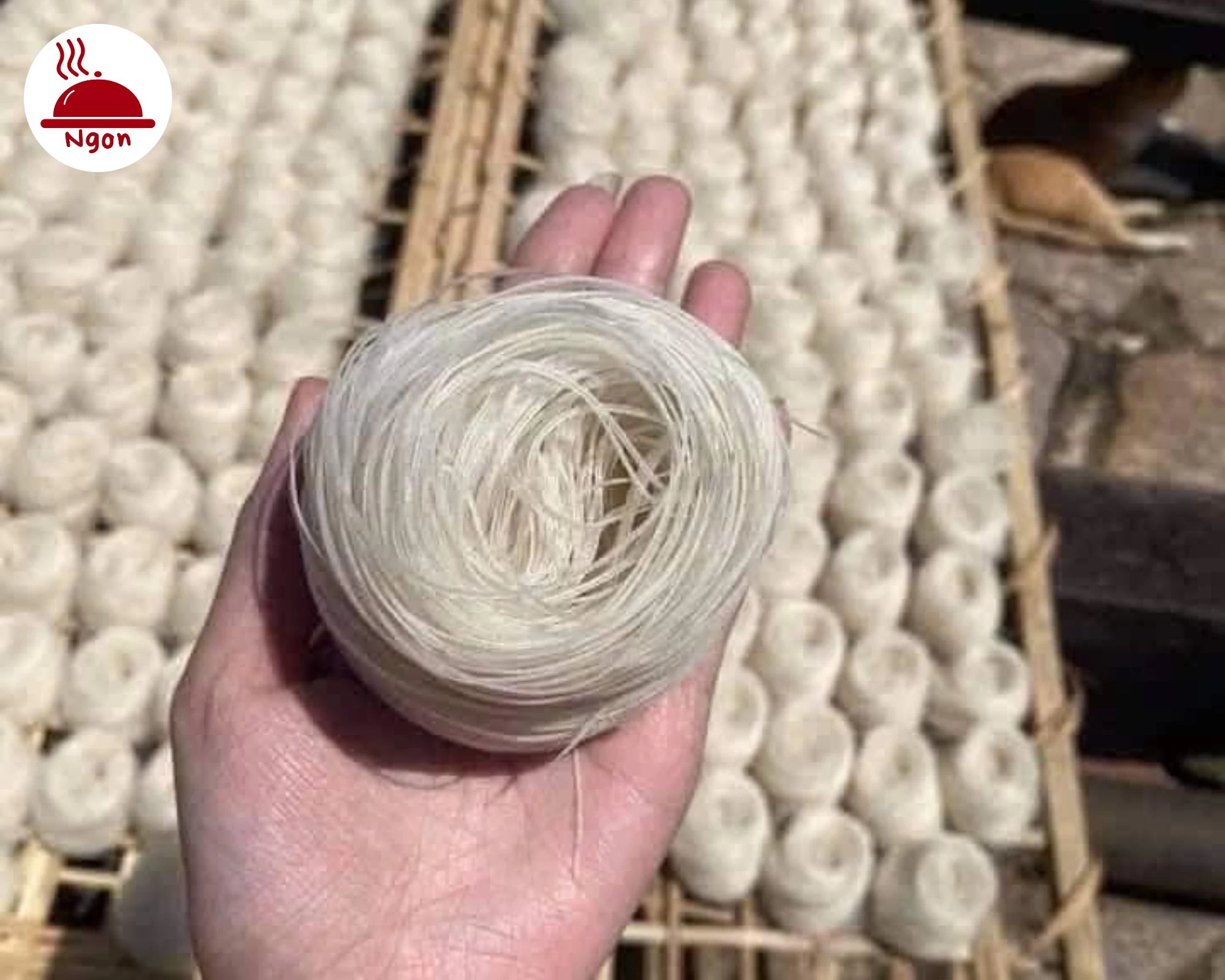 Những cuộn sợi phở khô truyền thống đang được phơi nắng, sẵn sàng để làm nên món Phở khô Gia Lai nổi tiếng