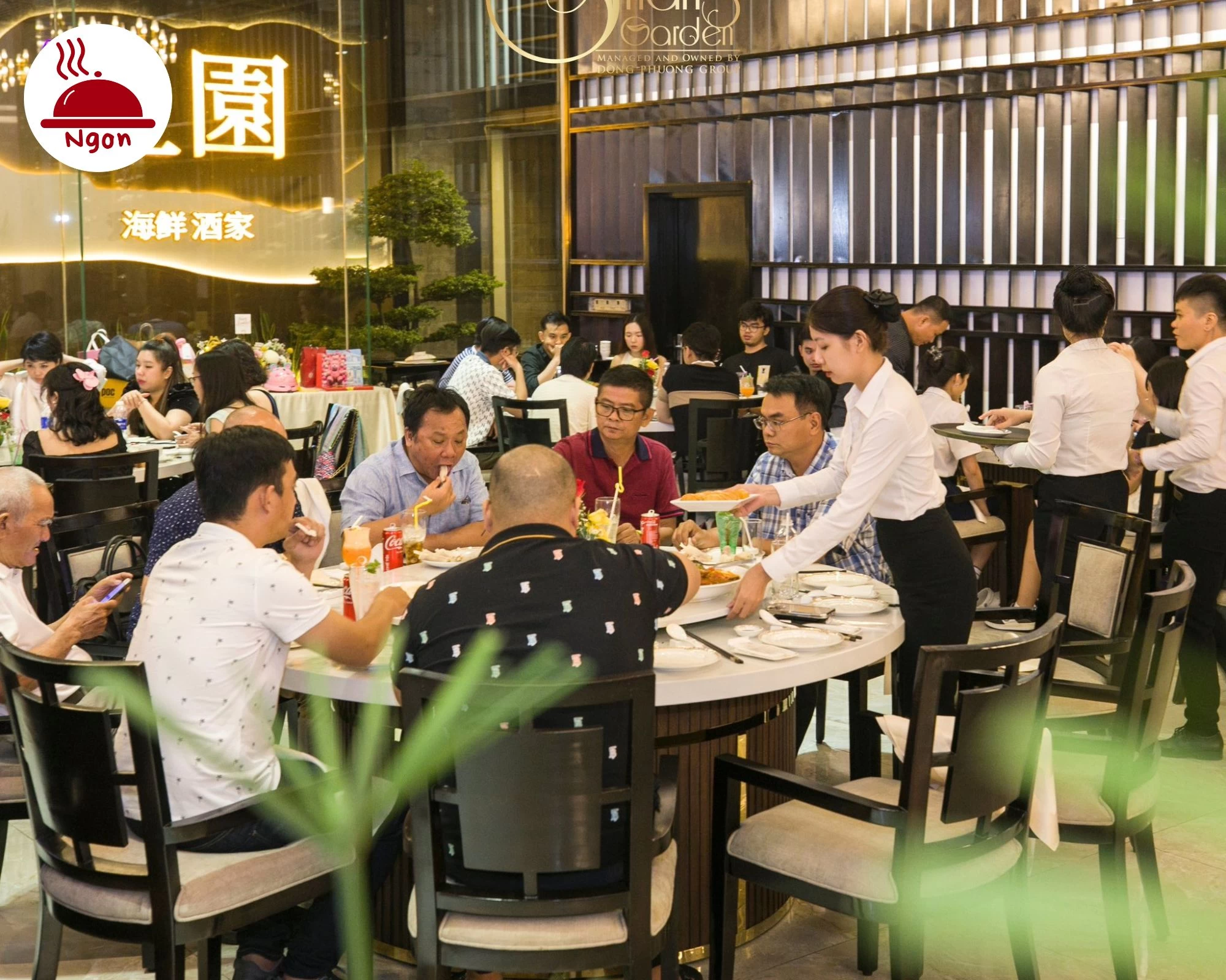 Bữa tiệc gia đình ấm cúng kiểu Hồng Kông chỉ có tại Shang Garden