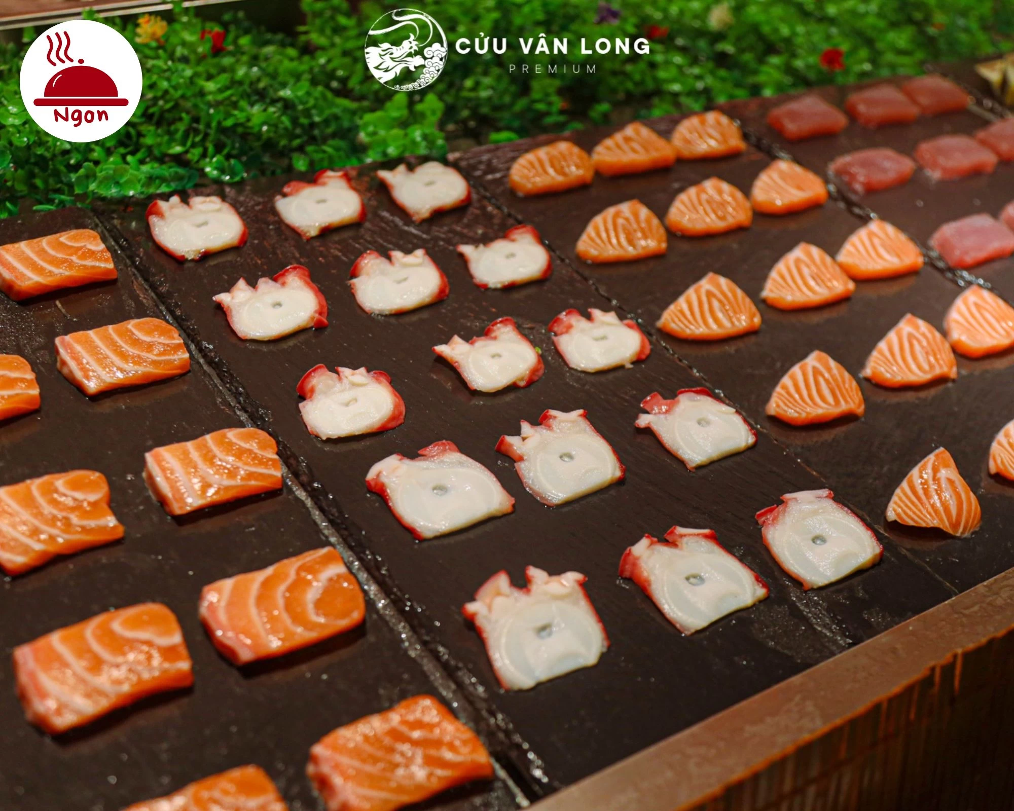 Đa dạng các loại Sashimi chuẩn Nhật được bày trí tinh tế